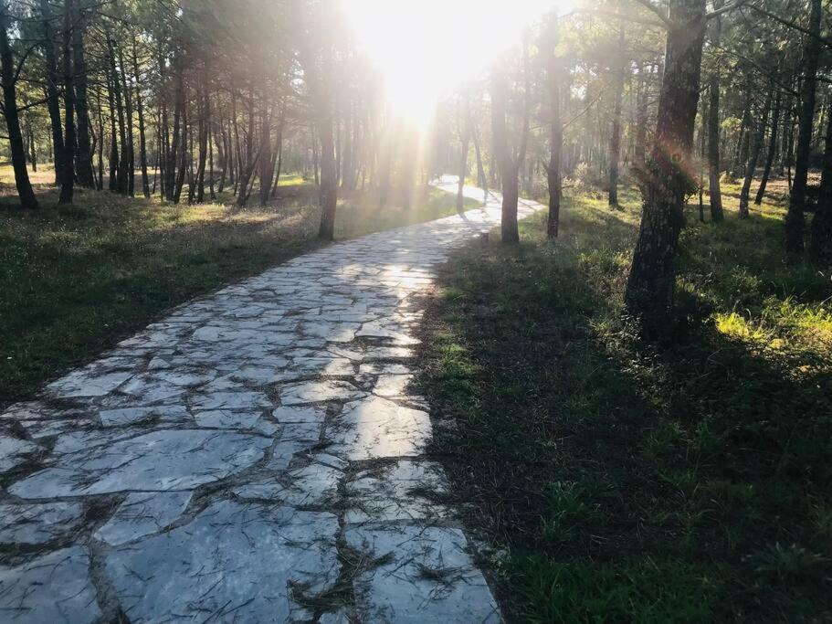 Atico Finisterre Daire Dış mekan fotoğraf